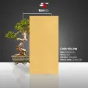 Corn Yellow - GHR - P - 60x120