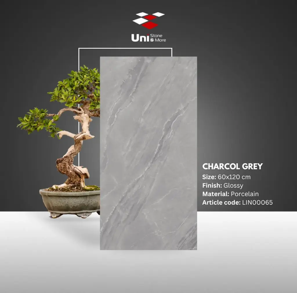 Charcol Grey - Glossy - P - 60x120