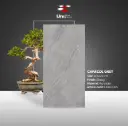 Charcol Grey - Glossy - P - 60x120