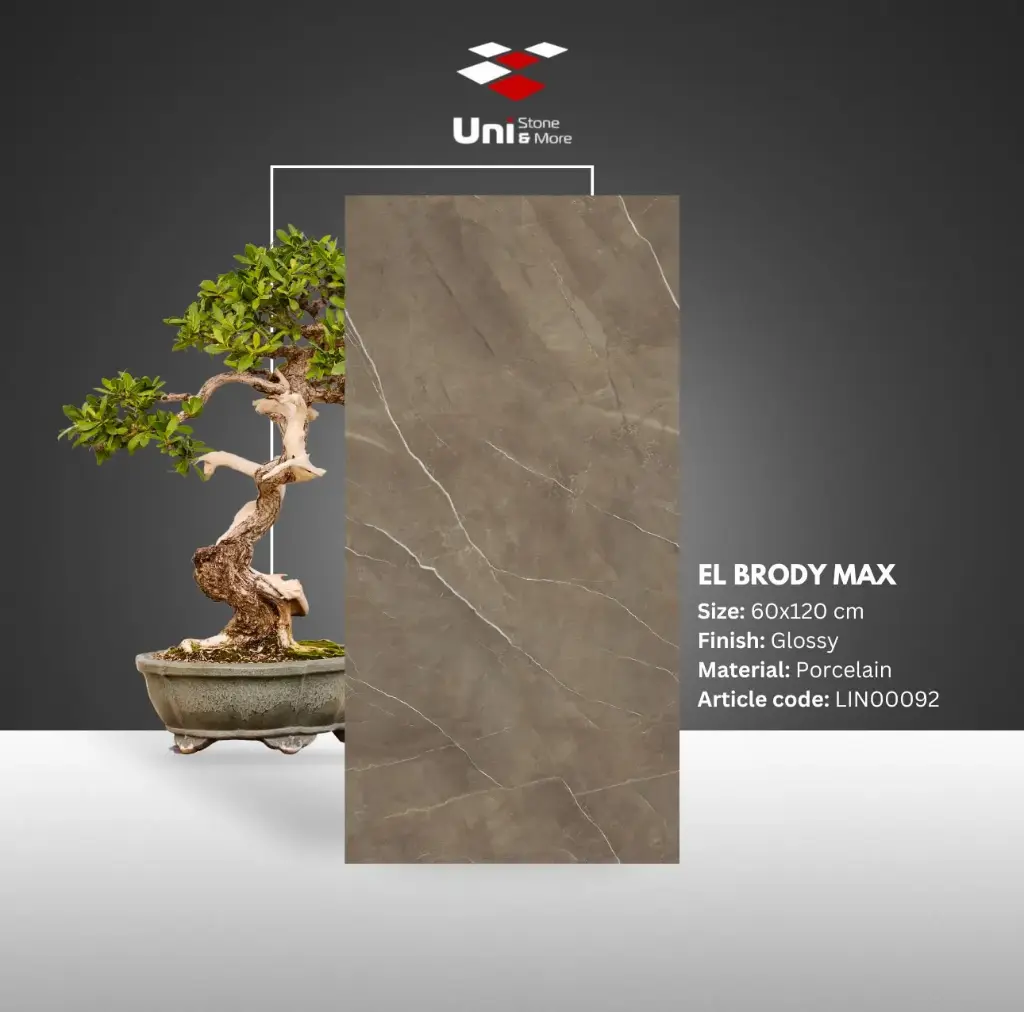 El Brody Max - Glossy - P - 60x120