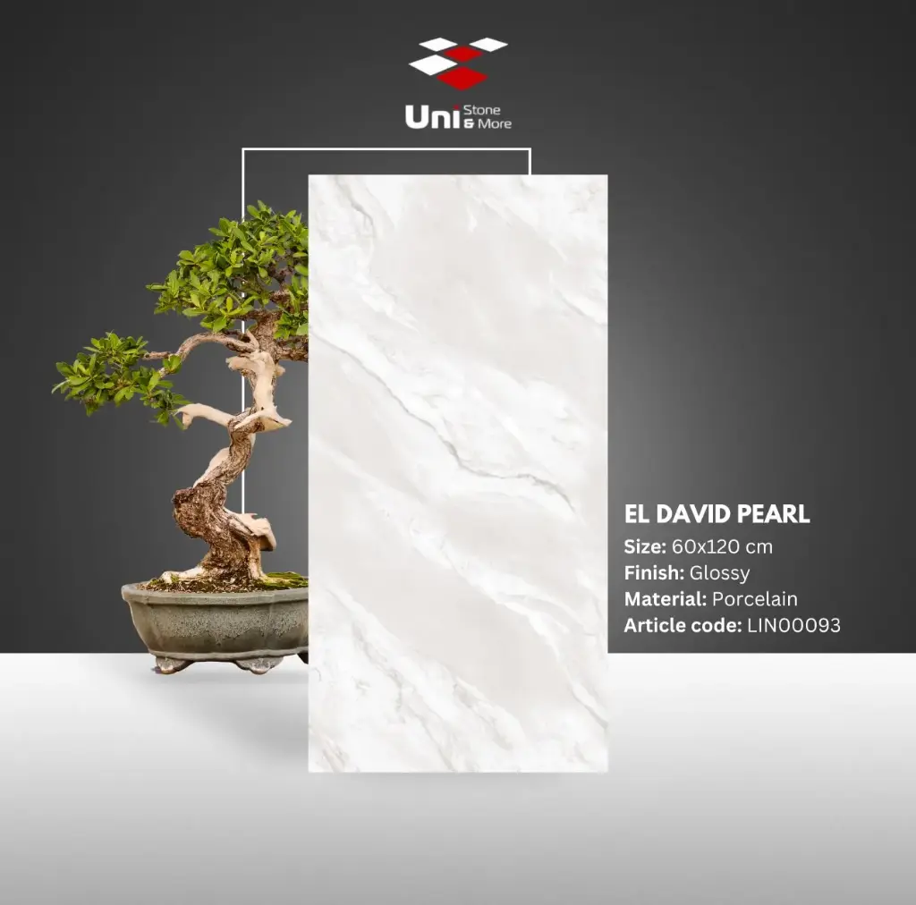 El David Pearl - Glossy - P - 60x120