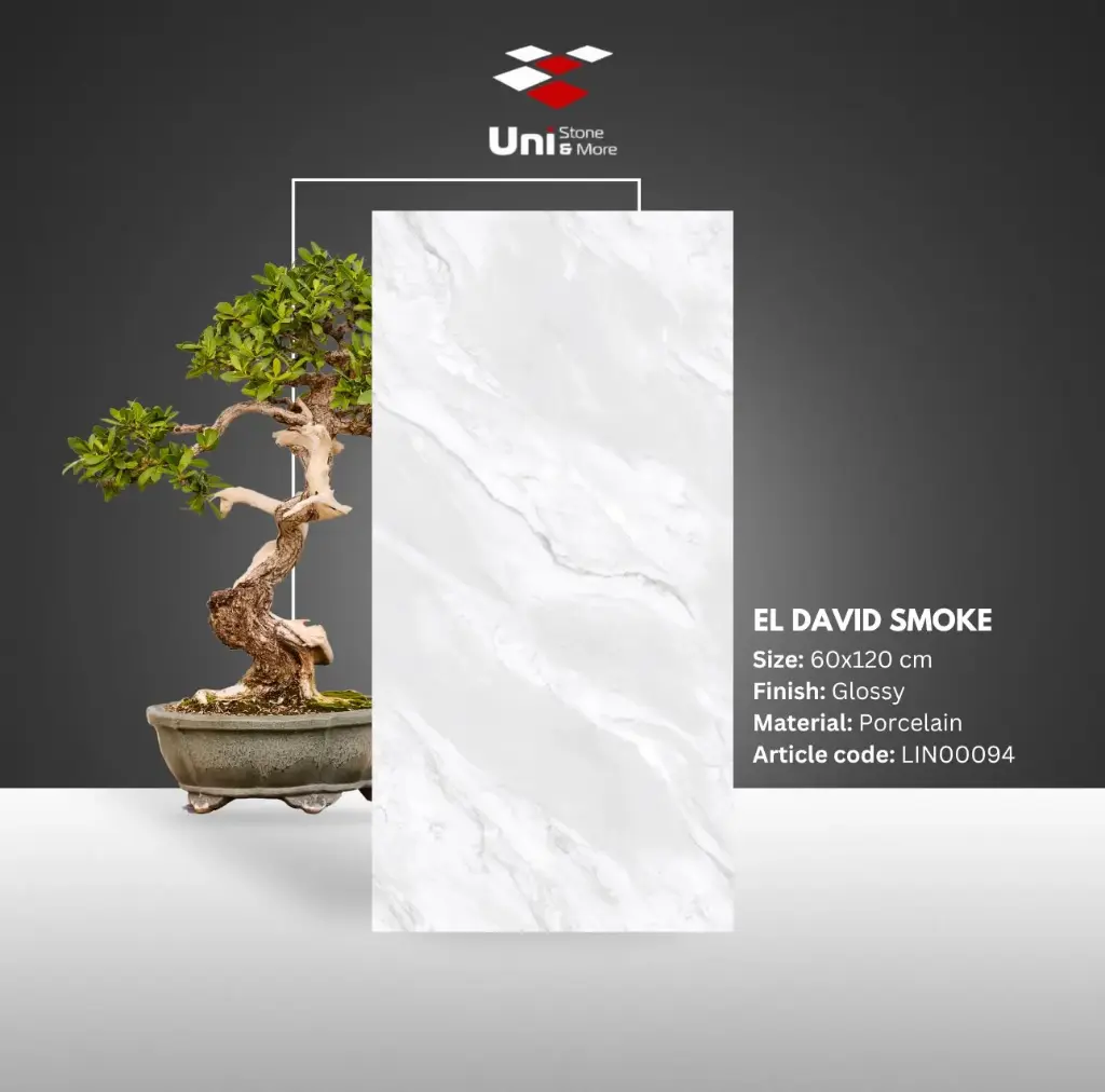 El David Smoke - Glossy - P - 60x120