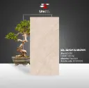 EDL Seagate Brown - Carving - P - 60x120