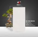 EDL Vbot Bianco - Carving - P - 60x120