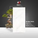EDL Built White - Carving - P - 60x120