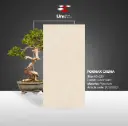 Formax Crema - Rustic Matt - P - 60x120