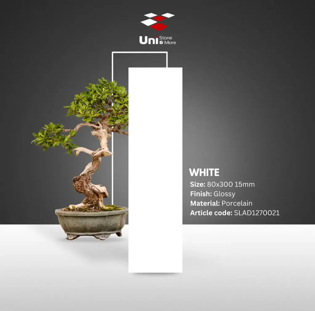 White - Glossy - P - 80x300 15mm