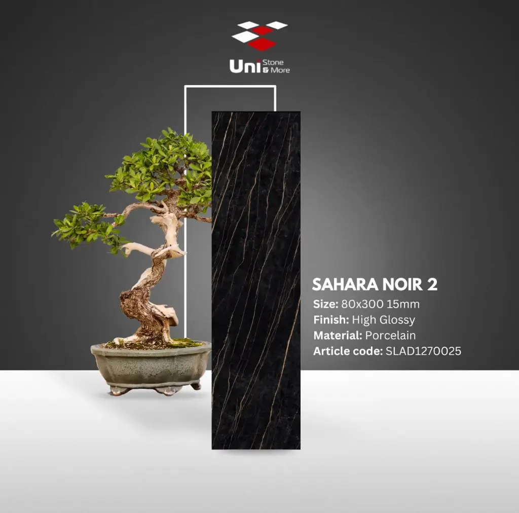 Sahara Noir 2 - High Glossy - P - 80x300 15mm