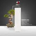 Bianco Lasa - Lisciare - P - 80x300 15mm