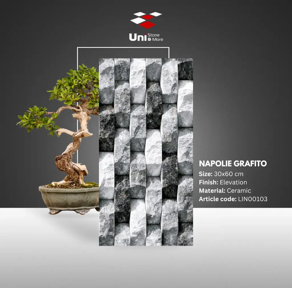 Napolie Grafito - Elevation - C - 30x60