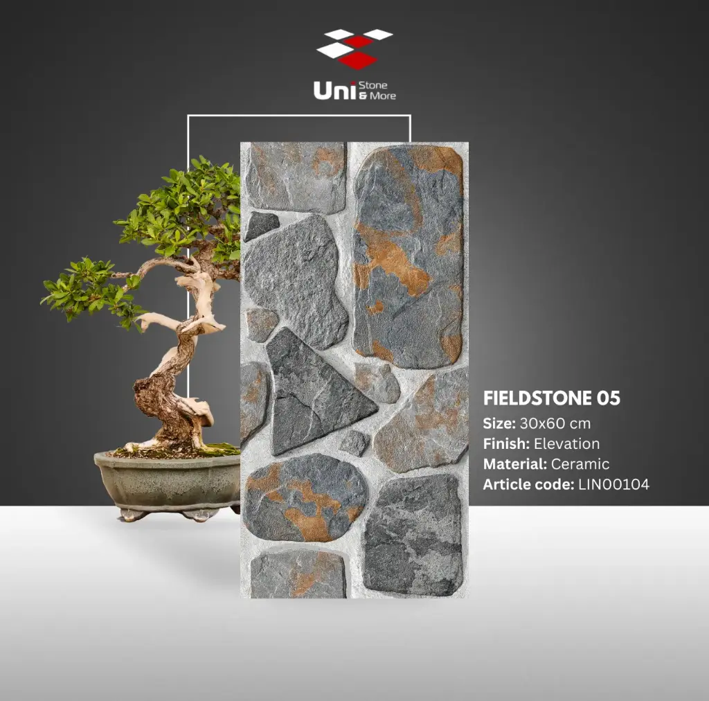 Fieldstone 05 - Elevation - C - 30x60