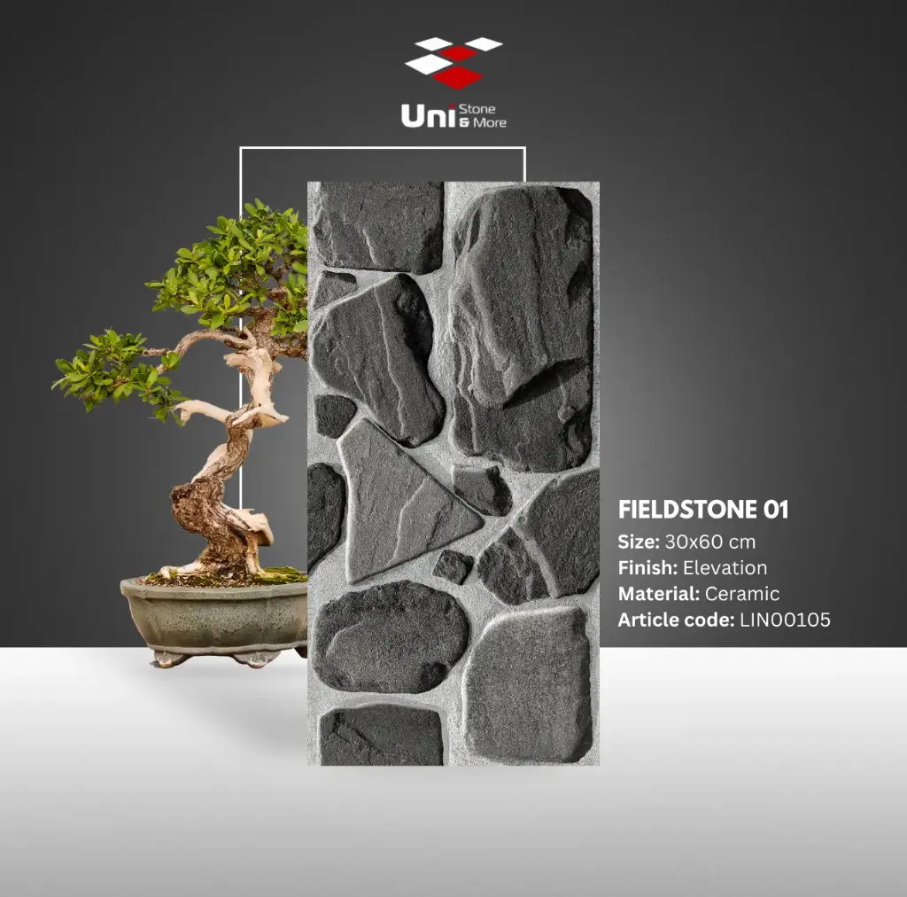 Fieldstone 01 - Elevation - C - 30x60