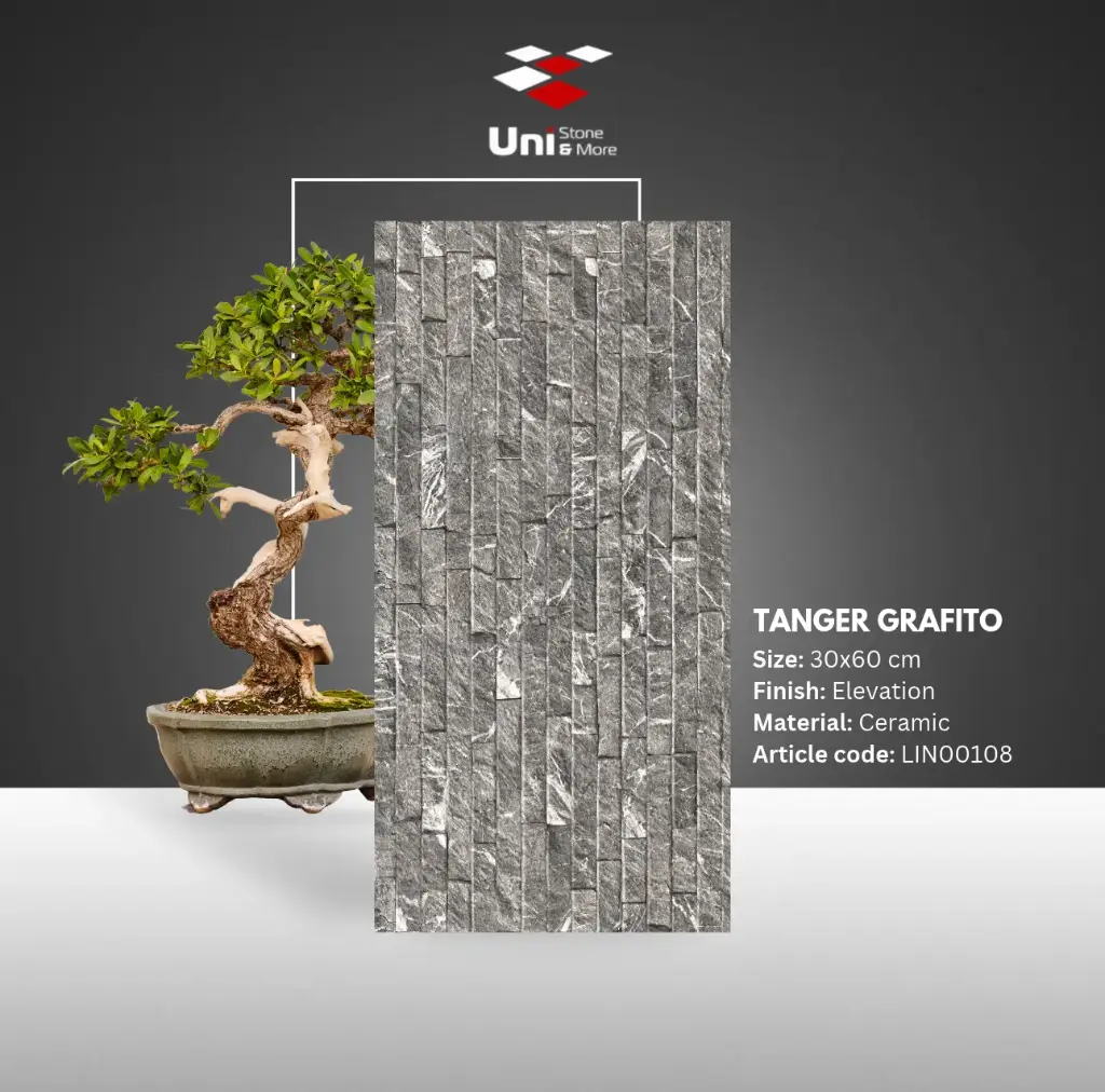 Tanger Grafito - Elevation - C - 30x60