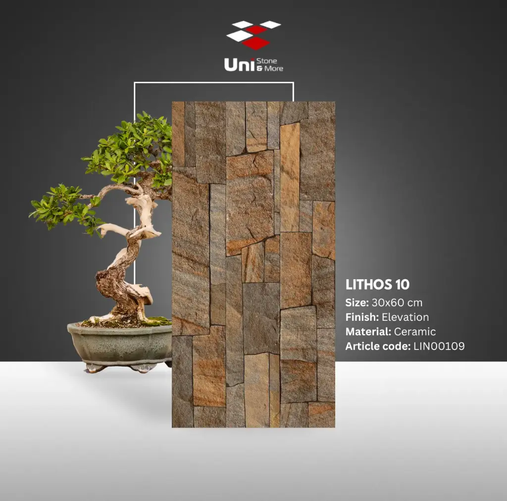 Lithos 10 - Elevation - C - 30x60