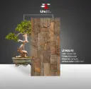 Lithos 10 - Elevation - C - 30x60