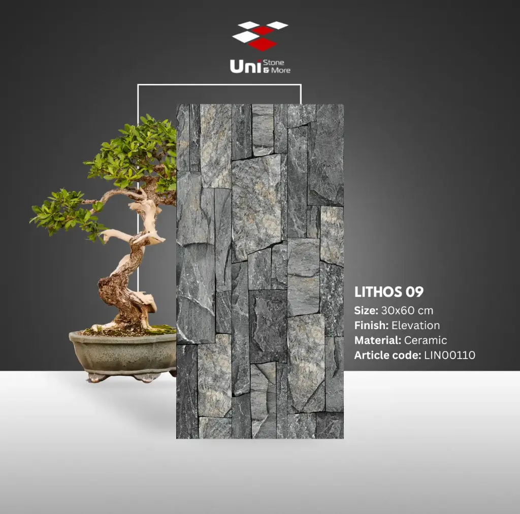 Lithos 09 - Elevation - C - 30x60