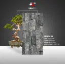 Lithos 09 - Elevation - C - 30x60