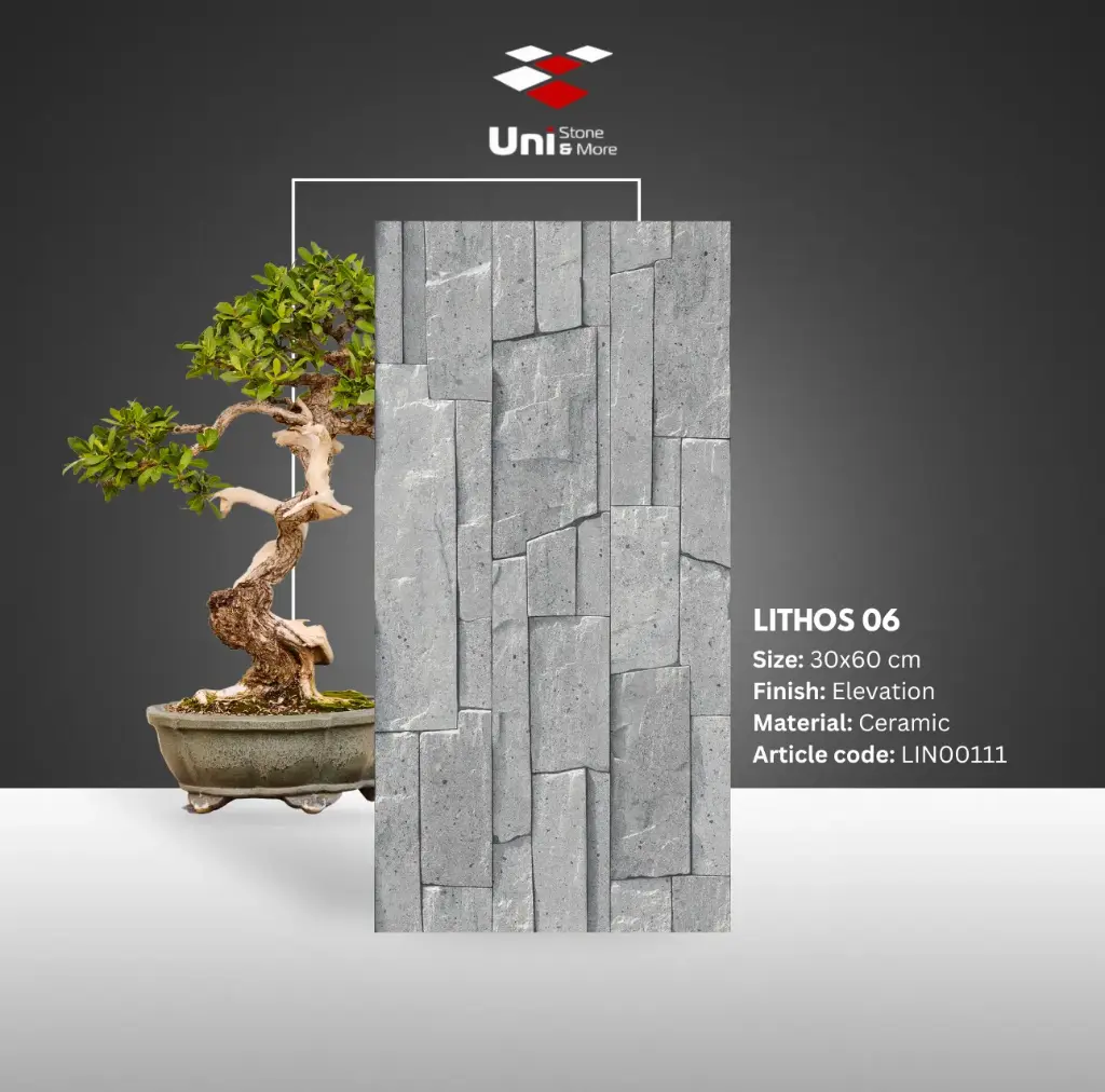 Lithos 06 - Elevation - C - 30x60