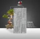Lithos 06 - Elevation - C - 30x60