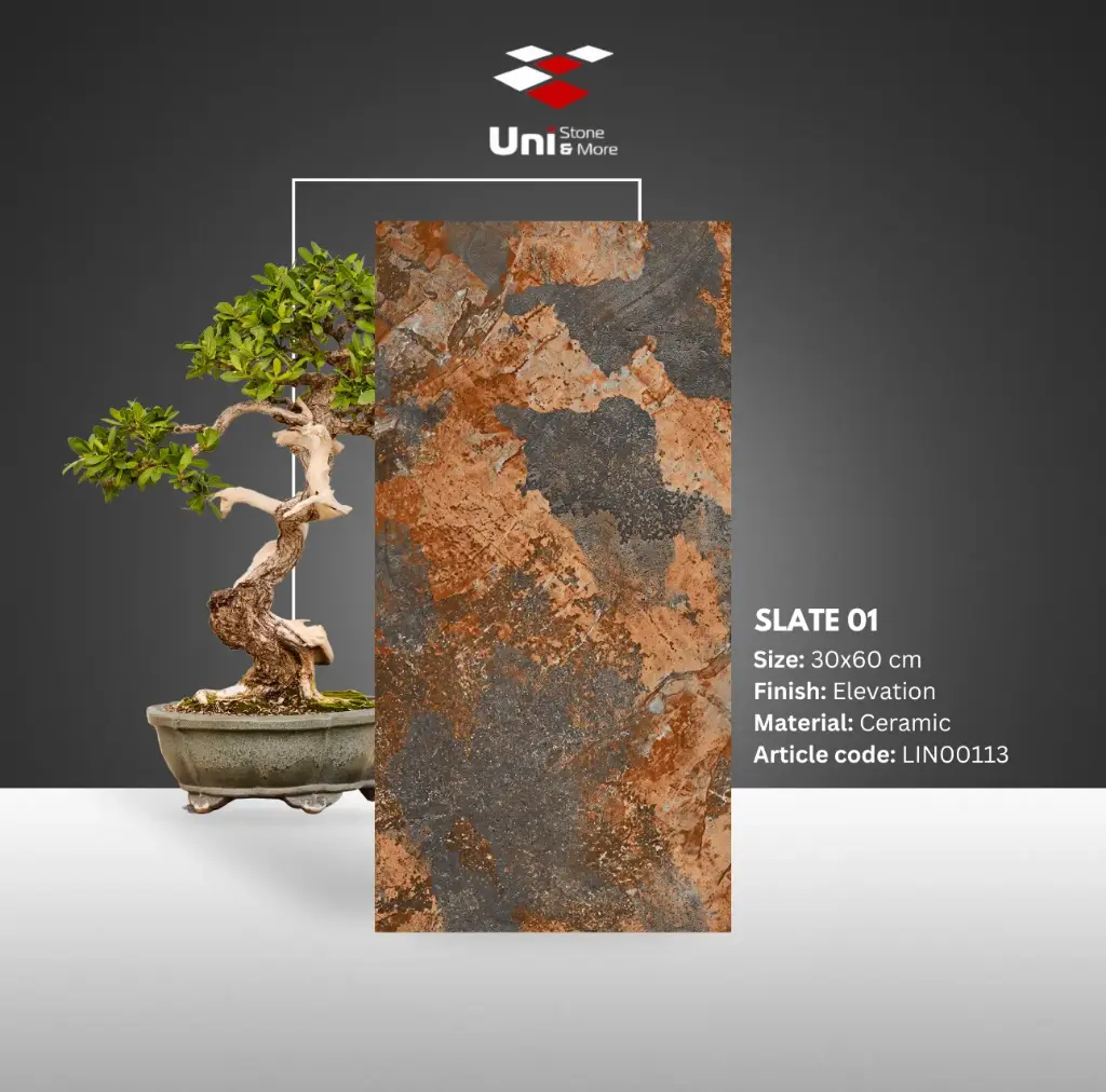 Slate 01 - Elevation - C - 30x60