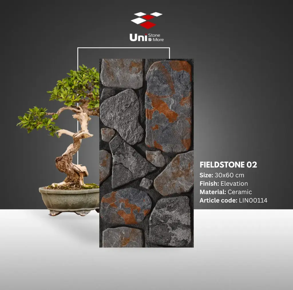 Fieldstone 02 - Elevation - C - 30x60