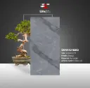 Ornato Nero - Glossy - P - 60x120