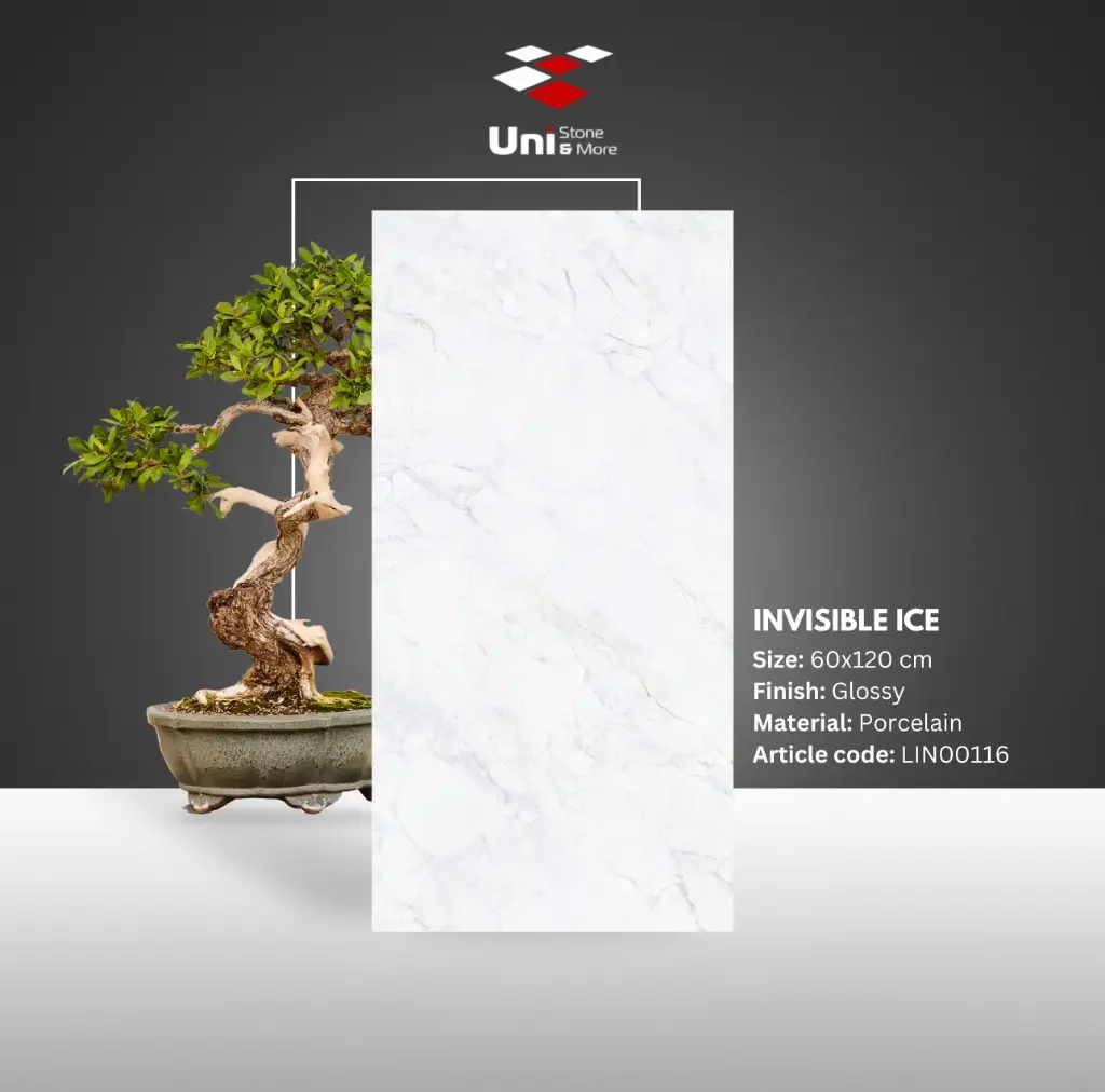 Invisible Ice - Glossy - P - 60x120