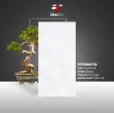 Invisible Ice - Glossy - P - 60x120
