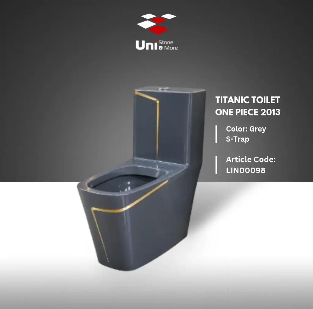 Titanic Toilet One piece 2013 - Grey - S-Trap