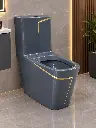 Titanic Toilet One piece 2013 - Grey - S-Trap