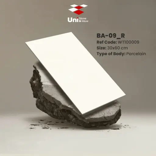 [WT100009] Ba-09_R - Matt - P - 30x60