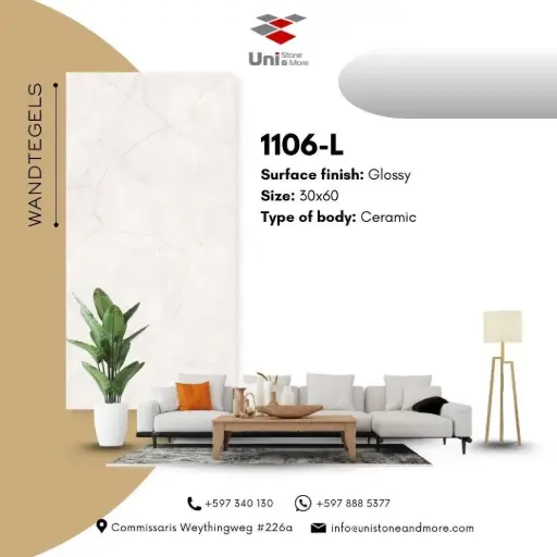 [LBI4-006W] 1106-L - Glossy - C - W - 30x60