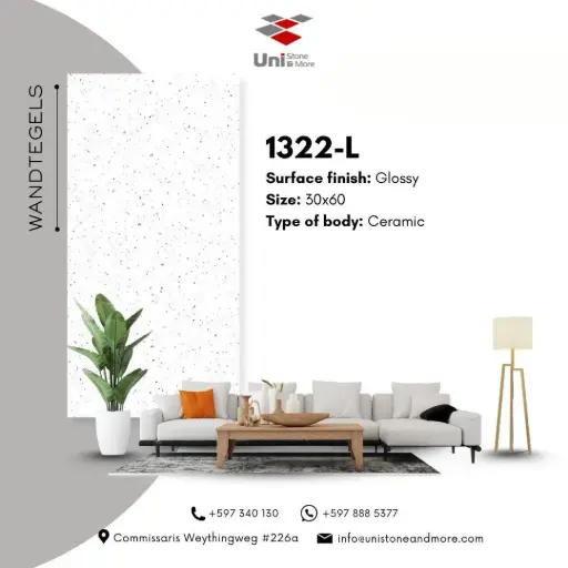 [LBI4-001W] 1322-L - Glossy - C - W - 30x60
