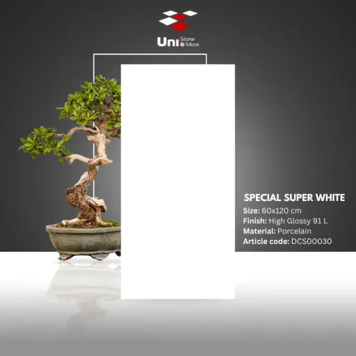 [DCS00172] Special Super White - High Glossy 91 L - P - 60x120
