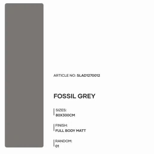 [SLAD1270012] Fossil Grey - Full Body Matt - P - 80x300 15mm