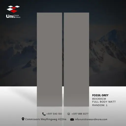 [SLAD1270012] Fossil Grey - Full Body Matt - P - 80x300 15mm