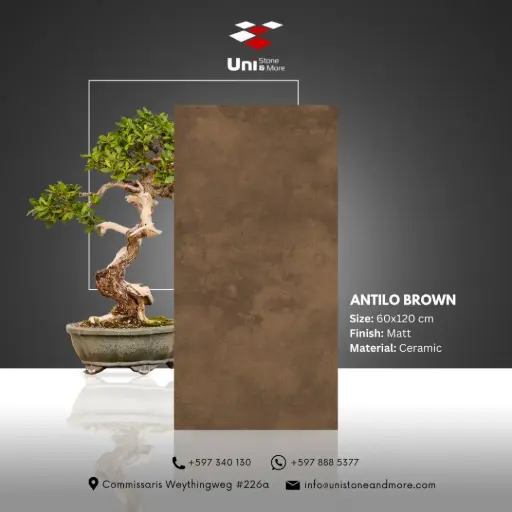 [DCS00057] Antilo Brown - Matt - C - 60x120