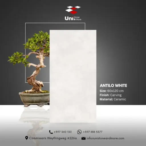 [DCS00060] Antilo White  - Carving - C - 60x120