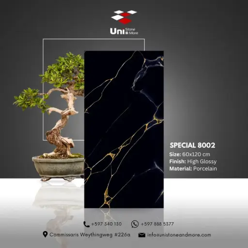 [DCS00069] Special 8002 - High Glossy - P - 60x120