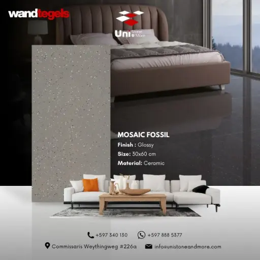 [LBI00016] Mosaic Fossil - Glossy - C - W - 30x60