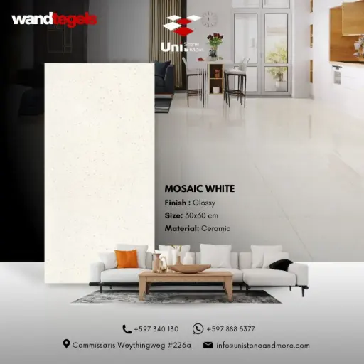 [LBI00020] Mosaic White - Glossy - C - W - 30x60