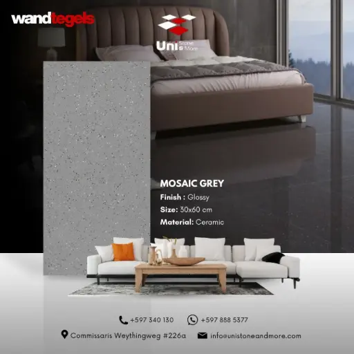 [LBI00018] Mosaic Grey - Glossy - C - W - 30x60