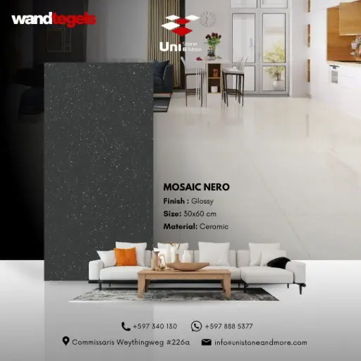 [LBI00019] Mosaic Nero - Glossy - C - W - 30x60