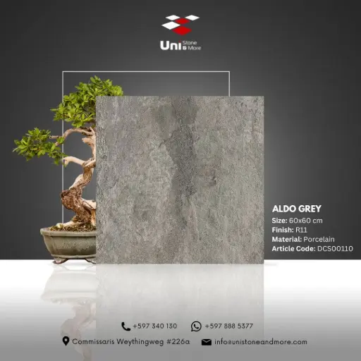 [DCS00110] Aldo Grey - R11 - P - 60x60