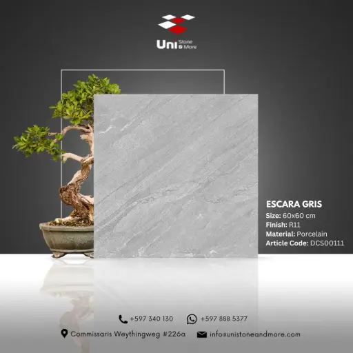 [DCS00111] Escara Gris - R11 - P - 60x60