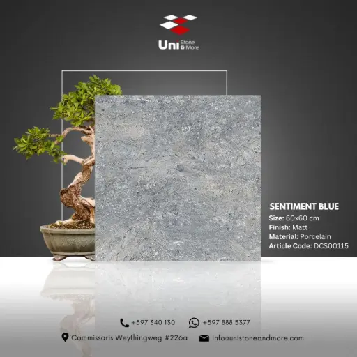 [DCS00115] Sentiment Blue - Matt - P - 60x60