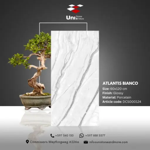 [DCS000124] Atlantis Bianco - Glossy - P - 60x120