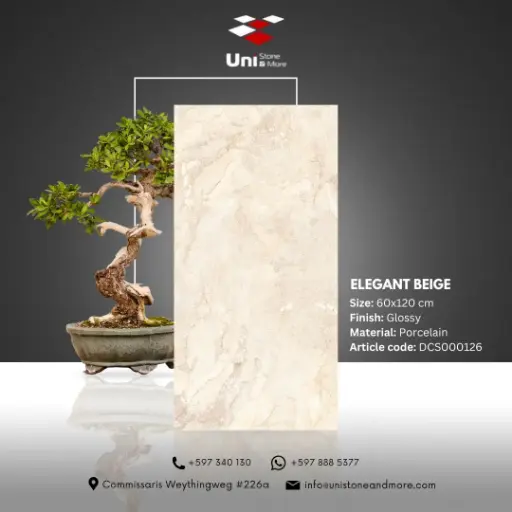 [DCS000126] Elegant Beige - Glossy - P - 60x120