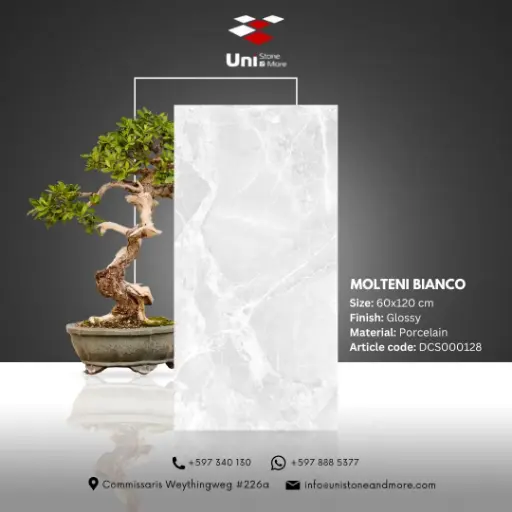 [DCS000128] Molteni Bianco - Glossy - P - 60x120