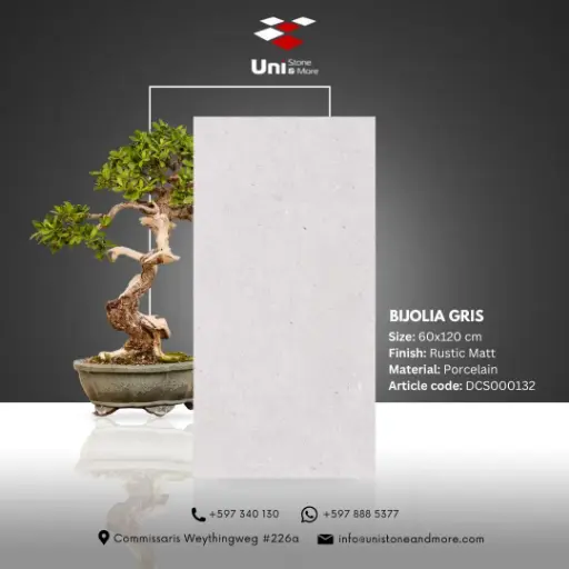 [DCS000132] Bijolia Gris - Rustic Matt - P - 60x120